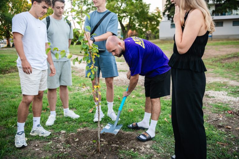 EASM2025 Student Seminar participants plant trees